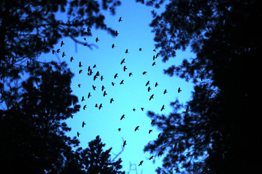 Similar image 20160978