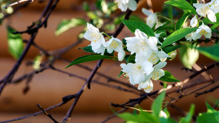 Similar image 20058113