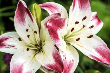 Similar image 20058122