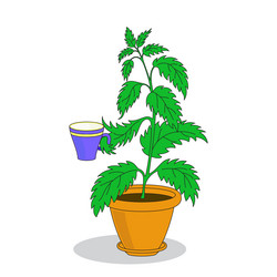 Similar image 20106215