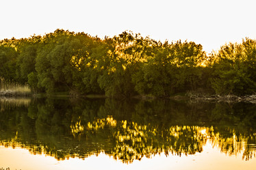 Similar image 20107722