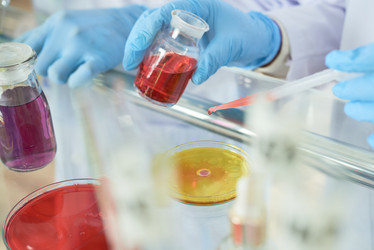 Similar image 19946304