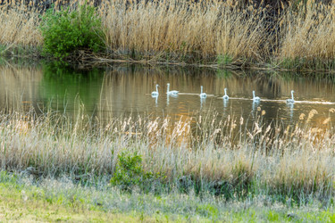 Similar image 20107723