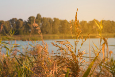 Similar image 20106026