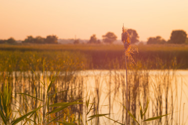 Similar image 20106028