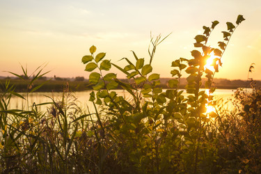 Similar image 20106031