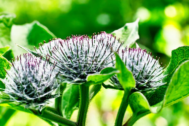 Similar image 20058886