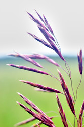 Similar image 20058887