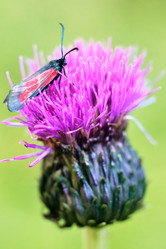 Similar image 20058888