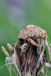 Similar image 20058889