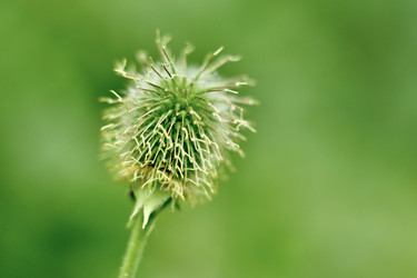 Similar image 20058890