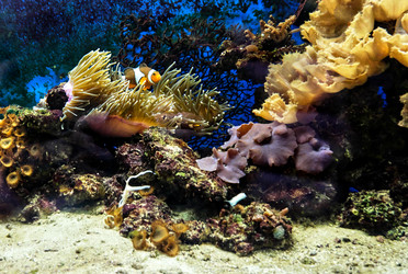 Similar image 20058892