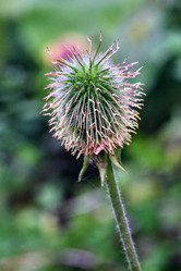 Similar image 20058905