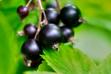 Similar image 20058929