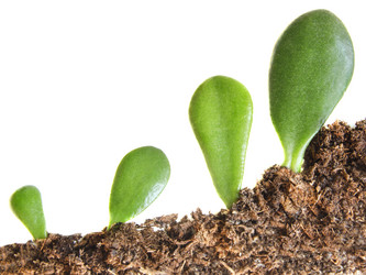 Similar image 20058073