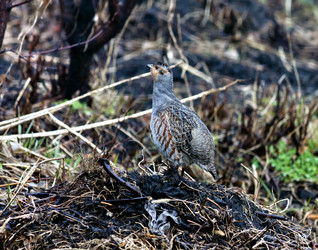 Similar image 20076353