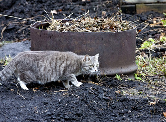 Similar image 20083068