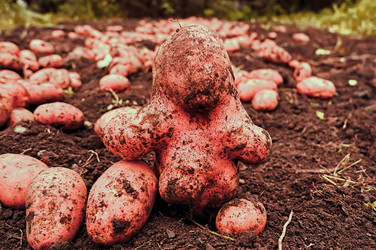 Similar image 20113468