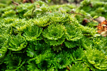 Similar image 20113475