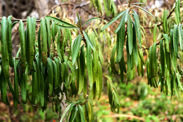 Similar image 20113479