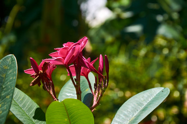 Similar image 20113466