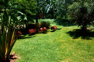 Similar image 20113469