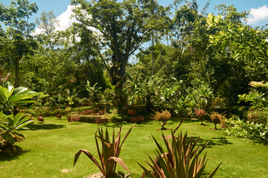 Similar image 20113473