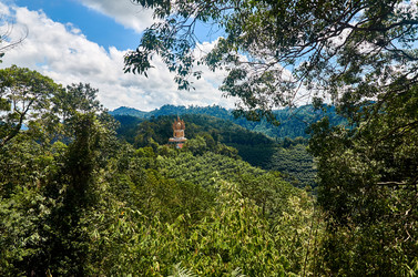 Similar image 20058850