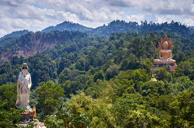 Similar image 20058852