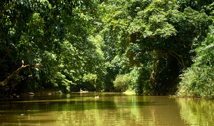 Similar image 20113476