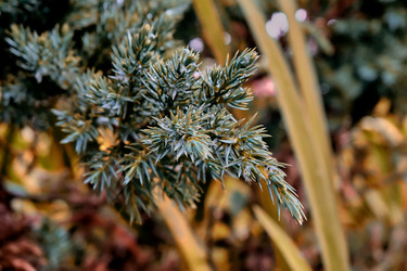 Similar image 20113480