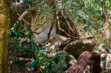 Similar image 20113484