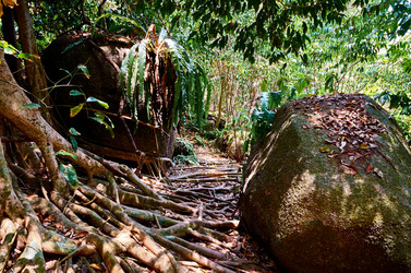 Similar image 20113496