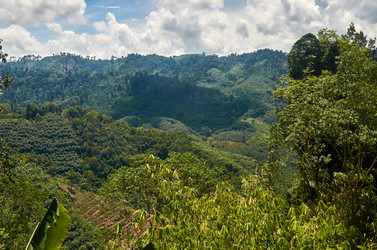 Similar image 20058922