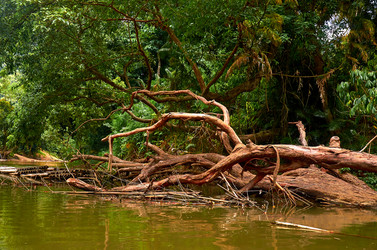 Similar image 20113507