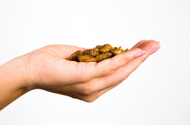 Similar image 20114353