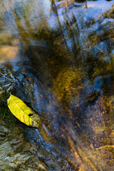 Similar image 20114368