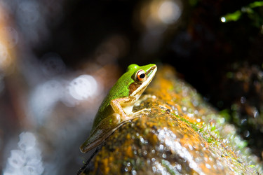 Similar image 20114369