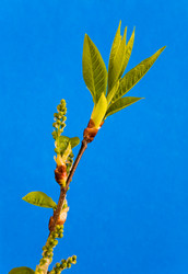 Similar image 20114377