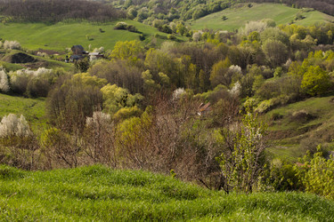 Similar image 20107659