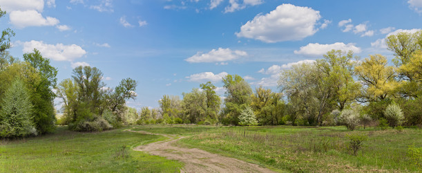 Similar image 20107660