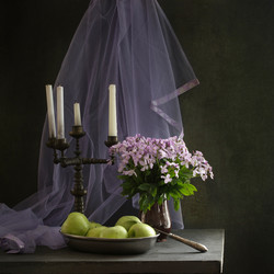 Similar image 20107661