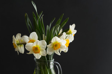 Similar image 20107520