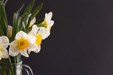 Similar image 20107521