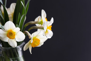 Similar image 20107526