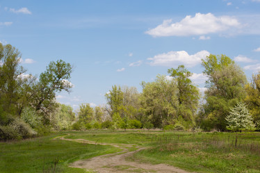 Similar image 20107544