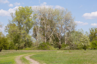 Similar image 20107572