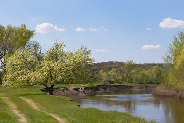 Similar image 20107577