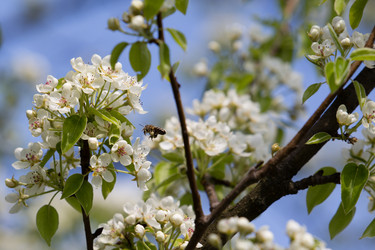 Similar image 20107596