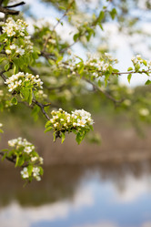 Similar image 20107601